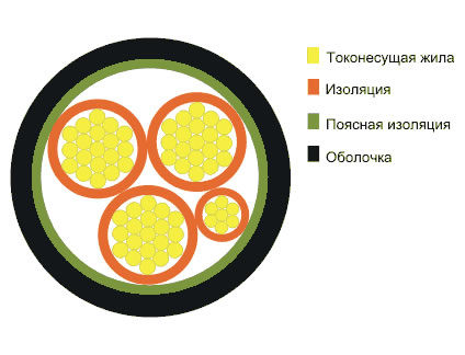   56. 